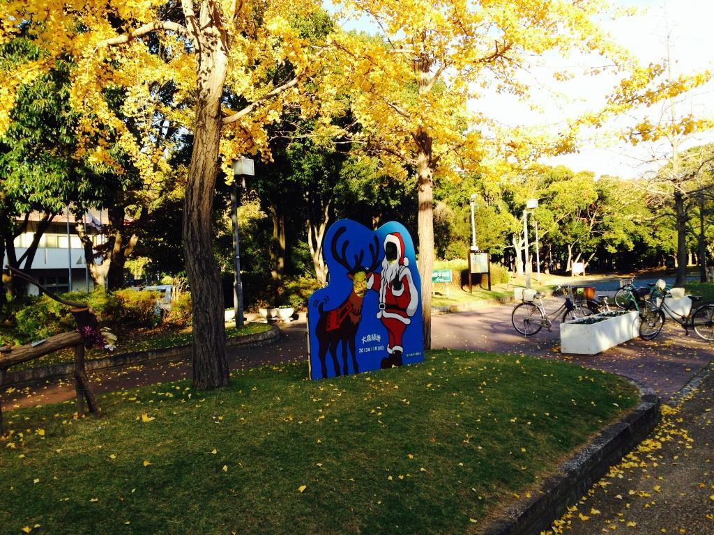 画像を等倍で表示します 画像