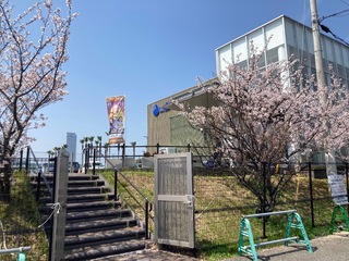 IMG_0006.jpeg
