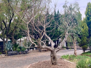 IMG_0072.jpeg