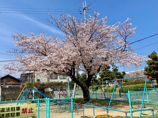 IMG_0118-7bfb7.jpeg