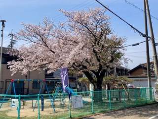 IMG_0132.jpeg