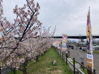 IMG_0161.jpeg