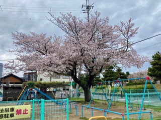 IMG_0169.jpeg