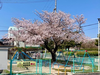 IMG_0216.jpeg