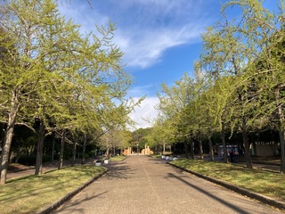 IMG_0246.jpeg