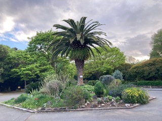 IMG_0273-1f5db.jpeg