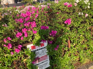 IMG_0327-a2aa5.jpeg