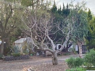 IMG_0334.jpeg