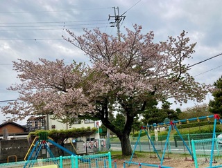 IMG_0370.jpeg