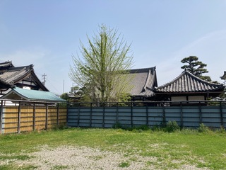 IMG_0422.jpeg