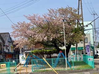 IMG_0426.jpeg