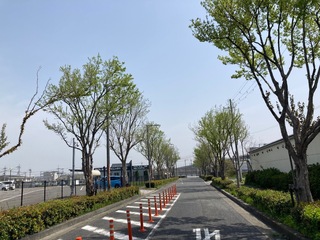 IMG_0443-1b7e3.jpeg