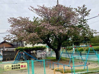 IMG_0455.jpeg