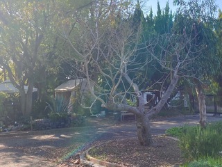 IMG_0481.jpeg