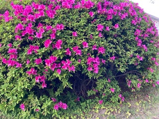 IMG_0488.jpeg