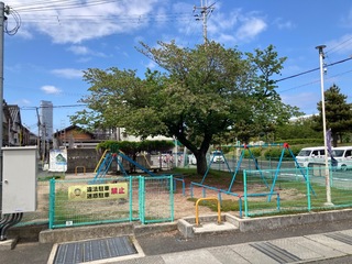 IMG_0559.jpeg