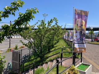 IMG_0580.jpeg