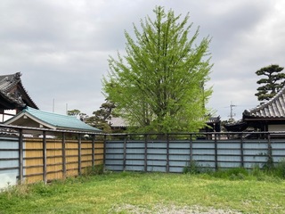 IMG_0601.jpeg