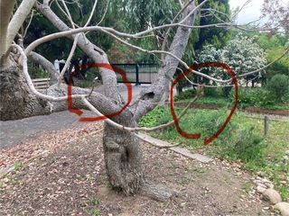 IMG_0727.jpeg