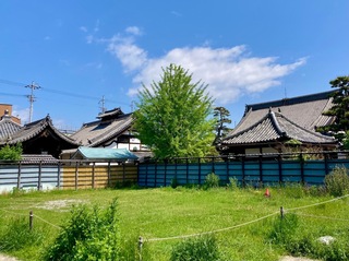 IMG_0841.jpeg