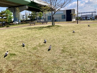 IMG_0858.jpeg