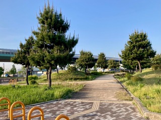 IMG_1261.jpeg