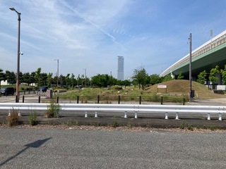 IMG_1274.jpeg