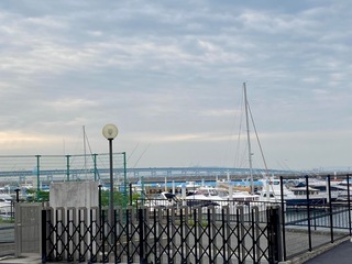 IMG_1312-3896e.jpeg
