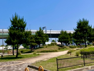 IMG_1918.jpeg