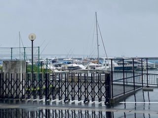 IMG_2010.jpeg