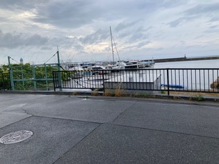 IMG_2041.jpeg