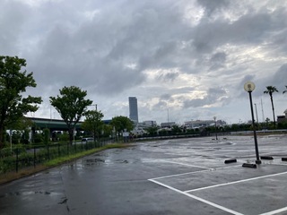 IMG_2046.jpeg