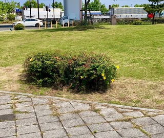 IMG_2213.jpeg