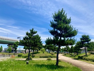 IMG_2807.jpeg