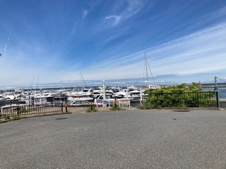 IMG_2813.jpeg