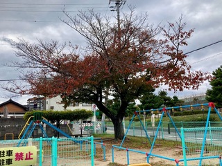 IMG_6729.jpeg