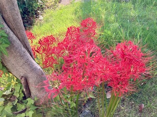 IMG_7694.jpeg