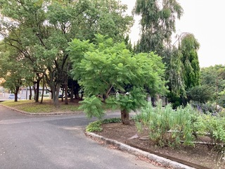 IMG_7696.jpeg