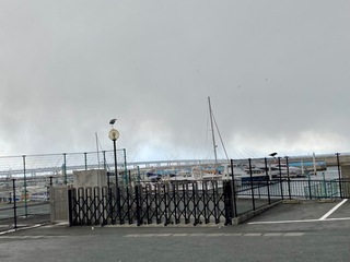 IMG_8791.jpeg