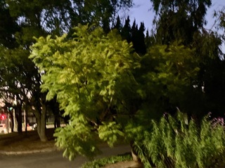 IMG_8941.jpeg
