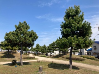IMG_9681-370ff.jpeg
