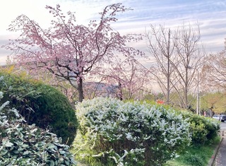 IMG_9725.jpeg