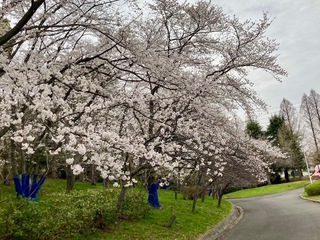 IMG_9751.jpeg