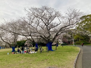IMG_9758.jpeg