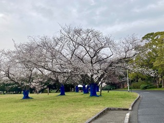 IMG_9790.jpeg
