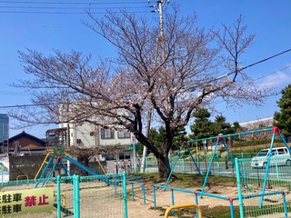 IMG_9807.jpeg