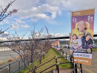 IMG_9822.jpeg