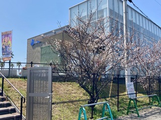 IMG_9850.jpeg