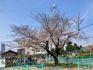 IMG_9867.jpeg