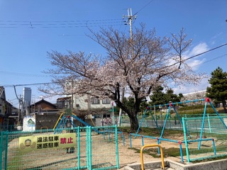 IMG_9885.jpeg